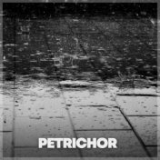 Petrichor