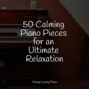 50 Calming Piano Pieces for an Ultimate Relaxation