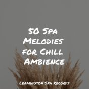 50 Spa Melodies for Chill Ambience