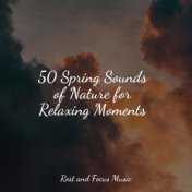 50 Spring Sounds of Nature for Relaxing Moments