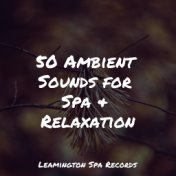 50 Ambient Sounds for Spa & Relaxation