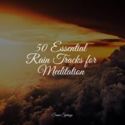 50 Essential Rain Tracks for Meditation