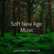 Soft New Age Music