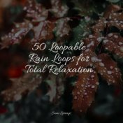 50 Loopable Rain Loops for Total Relaxation