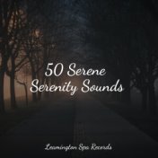 50 Serene Serenity Sounds