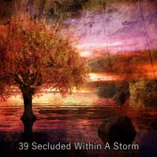 39 Secluded Within A Storm