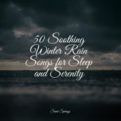 50 Soothing Winter Rain Songs for Sleep and Serenity