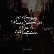 50 Amazing Rain Sounds for Spa & Mindfulness