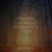 Melodías Calmantes | Meditación y Yoga