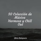 50 Colección de Música Hermosa y Chill Out