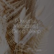 Powerful Melodies | Deep Sleep
