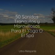 50 Sonidos Tranquilos y Maravillosos Para El Yoga O El Spa