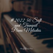 #2022 50 Soft and Tranquil Piano Melodies