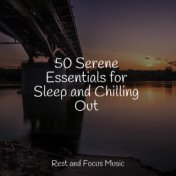 50 Serene Essentials for Sleep and Chilling Out