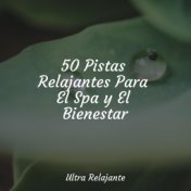 50 Pistas Relajantes Para El Spa y El Bienestar