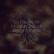 50 Piezas de Música Chillout Reconfortante