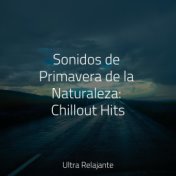 Sonidos de Primavera de la Naturaleza: Chillout Hits