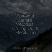 Powerful Nature Melodies | Chilling Out & Meditation