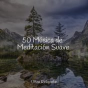 50 Música de Meditación Suave