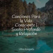 Canciones Para la Vida Consciente | Sueño Profundo y Relajación