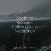 Soothing Melodies | Chilling Out & Meditation