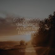 50 Colección de Música Ambiental Relajante