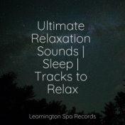 Ultimate Relaxation Sounds | Sleep | Tracks to Relax