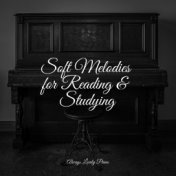 Soft Melodies for Reading & Studying