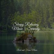 Sleepy Relaxing Music | Serenity