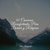 50 Canciones Reconfortantes Para Dormir y Relajarse