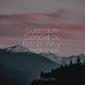 Colección Esencial de Relajación y Meditación