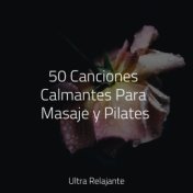 50 Canciones Calmantes Para Masaje y Pilates