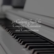 50 Calming Tracks for Complete Relaxation and Concentration