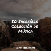 50 Increíble Colección de Música