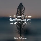 50 Melodías de Meditación en la Naturaleza