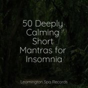 50 Deeply Calming Short Mantras for Insomnia