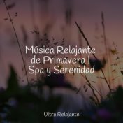 Música Relajante de Primavera | Spa y Serenidad