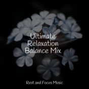 Ultimate Relaxation Balance Mix