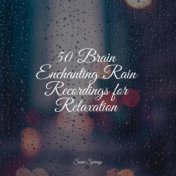 50 Brain Enchanting Rain Recordings for Relaxation