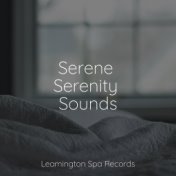 Serene Serenity Sounds