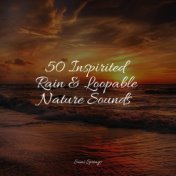 50 Inspirited Rain & Loopable Nature Sounds