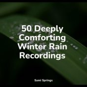 50 Deeply Comforting Winter Rain Recordings