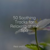 50 Soothing Tracks for Relaxing at the Spa