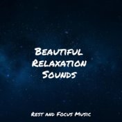 Beautiful Relaxation Sounds