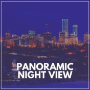 Panoramic Night View