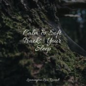 Calm & Soft Tracks | Your Sleep