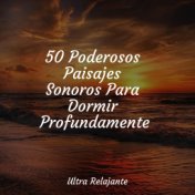 50 Poderosos Paisajes Sonoros Para Dormir Profundamente