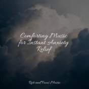 Comforting Music for Instant Anxiety Relief