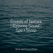 Sounds of Nature | Relaxing Sound | Spa & Sleep