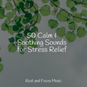 50 Calm & Soothing Sounds for Stress Relief